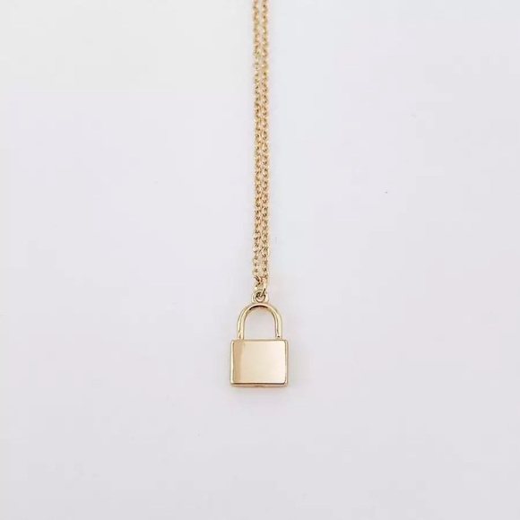 “Promise Me” Minimalist Beautiful Lock Necklace - Picture 4 of 8